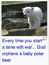 An adorable picture of a baby polar bear. Disgustingly adorable, in fact.
